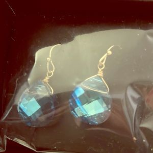 Shimmering Teardrop Earrings